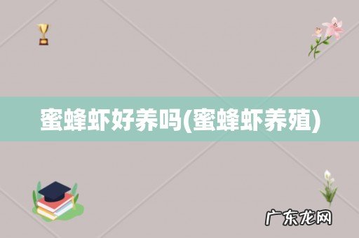 蜜蜂虾养殖 蜜蜂虾好养吗