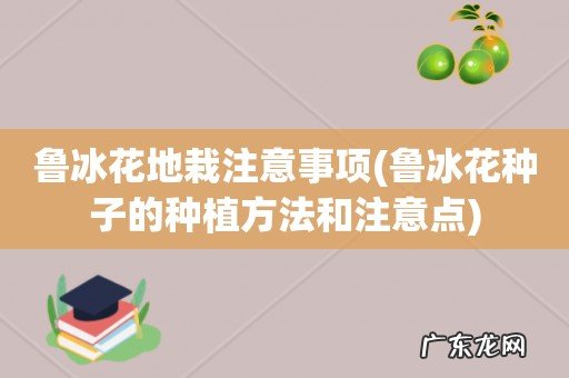 鲁冰花种子的种植方法和注意点 鲁冰花地栽注意事项