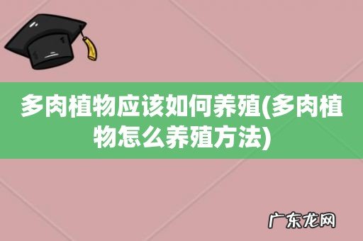 多肉植物怎么养殖方法 多肉植物应该如何养殖