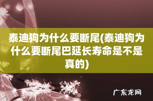 泰迪狗为什么要断尾巴延长寿命是不是真的 泰迪狗为什么要断尾