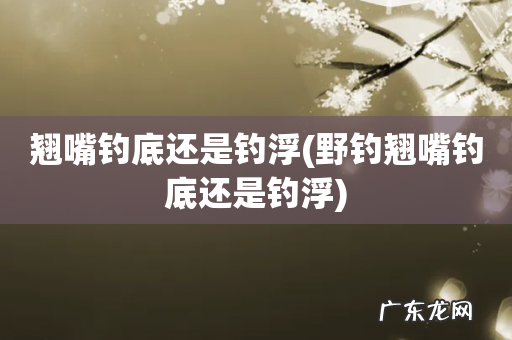 野钓翘嘴钓底还是钓浮 翘嘴钓底还是钓浮