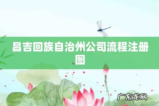 昌吉回族自治州公司流程注册图