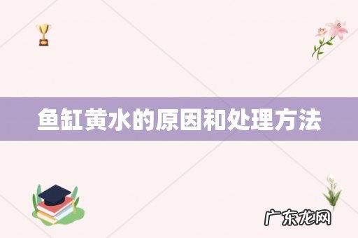 鱼缸黄水的原因和处理方法