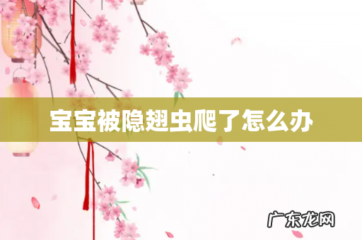 宝宝被隐翅虫爬了怎么办