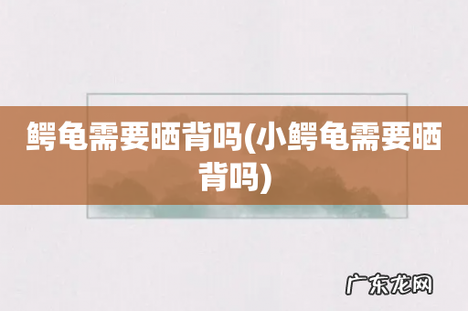 小鳄龟需要晒背吗 鳄龟需要晒背吗