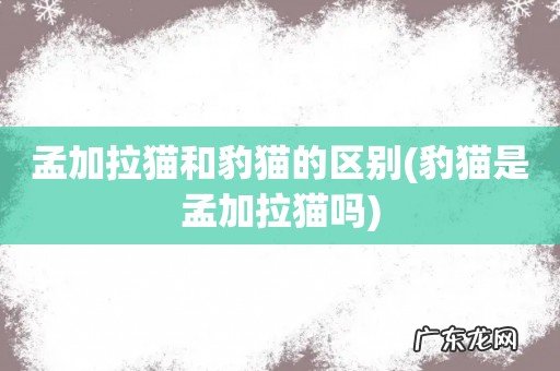 豹猫是孟加拉猫吗 孟加拉猫和豹猫的区别