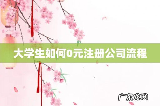 大学生如何0元注册公司流程