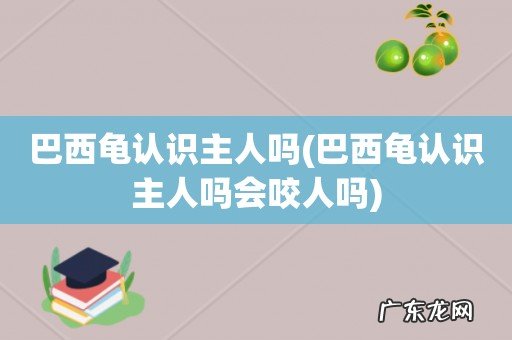 巴西龟认识主人吗会咬人吗 巴西龟认识主人吗