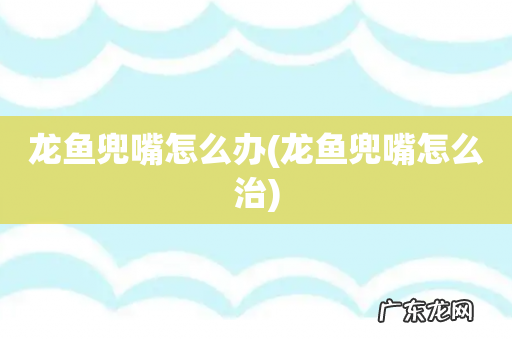 龙鱼兜嘴怎么治 龙鱼兜嘴怎么办