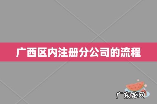 广西区内注册分公司的流程