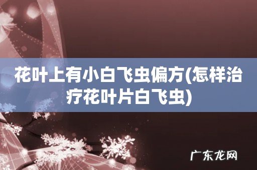 怎样治疗花叶片白飞虫 花叶上有小白飞虫偏方