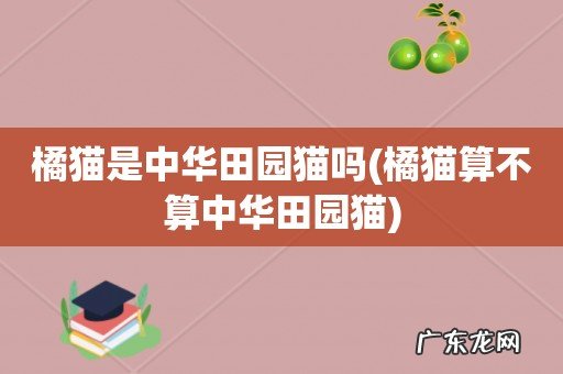 橘猫算不算中华田园猫 橘猫是中华田园猫吗