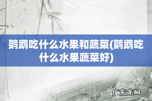 鹦鹉吃什么水果蔬菜好 鹦鹉吃什么水果和蔬菜