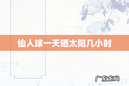 仙人球一天晒太阳几小时