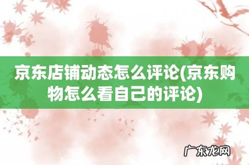 京东购物怎么看自己的评论 京东店铺动态怎么评论
