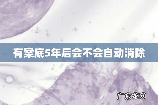 有案底5年后会不会自动消除