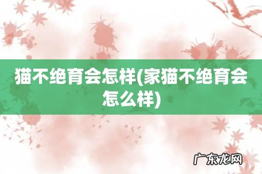 家猫不绝育会怎么样 猫不绝育会怎样