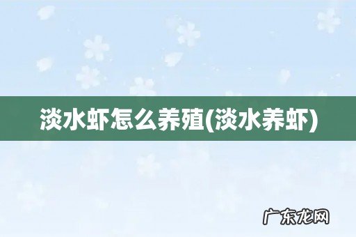 淡水养虾 淡水虾怎么养殖