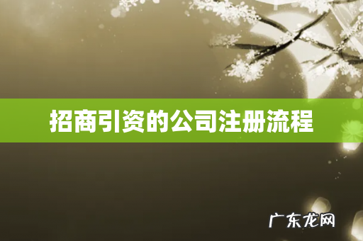 招商引资的公司注册流程