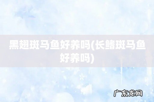 长鳍斑马鱼好养吗 黑翅斑马鱼好养吗