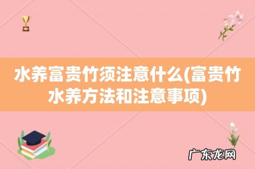 富贵竹水养方法和注意事项 水养富贵竹须注意什么