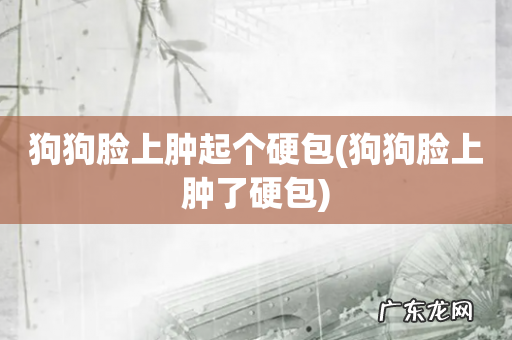 狗狗脸上肿了硬包 狗狗脸上肿起个硬包