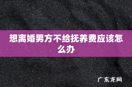 想离婚男方不给抚养费应该怎么办