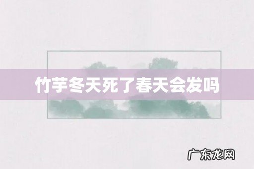 竹芋冬天死了春天会发吗
