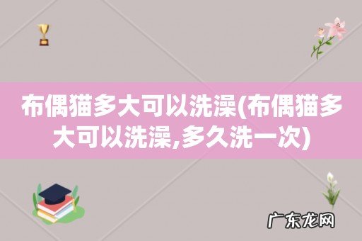 布偶猫多大可以洗澡,多久洗一次 布偶猫多大可以洗澡
