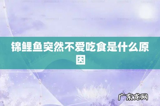 锦鲤鱼突然不爱吃食是什么原因