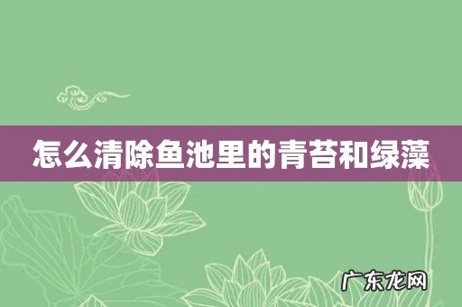 怎么清除鱼池里的青苔和绿藻