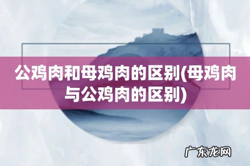 母鸡肉与公鸡肉的区别 公鸡肉和母鸡肉的区别