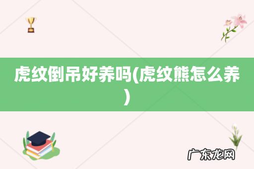 虎纹熊怎么养 虎纹倒吊好养吗