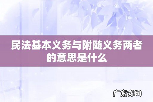 民法基本义务与附随义务两者的意思是什么