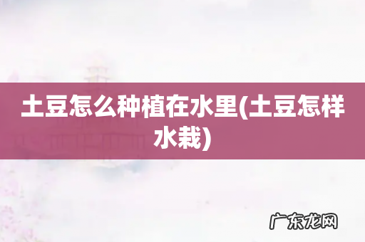 土豆怎样水栽 土豆怎么种植在水里