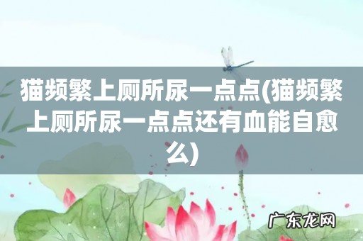 猫频繁上厕所尿一点点还有血能自愈么 猫频繁上厕所尿一点点