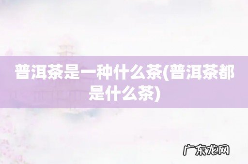 普洱茶都是什么茶 普洱茶是一种什么茶
