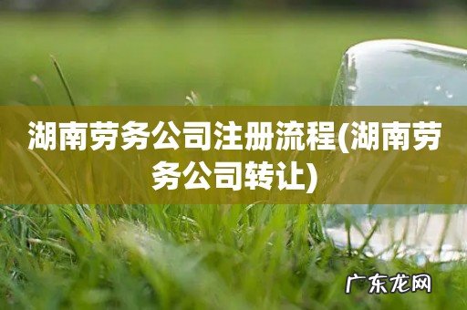 湖南劳务公司转让 湖南劳务公司注册流程