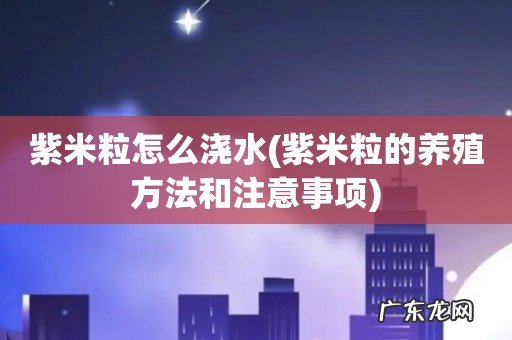 紫米粒的养殖方法和注意事项 紫米粒怎么浇水