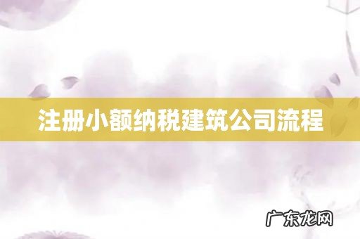 注册小额纳税建筑公司流程