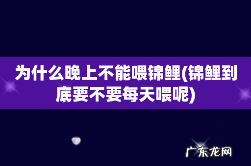 锦鲤到底要不要每天喂呢 为什么晚上不能喂锦鲤