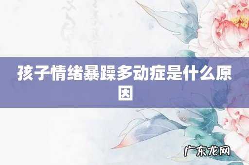 孩子情绪暴躁多动症是什么原因