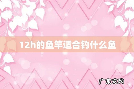 12h的鱼竿适合钓什么鱼