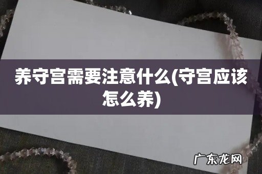守宫应该怎么养 养守宫需要注意什么