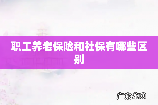 职工养老保险和社保有哪些区别