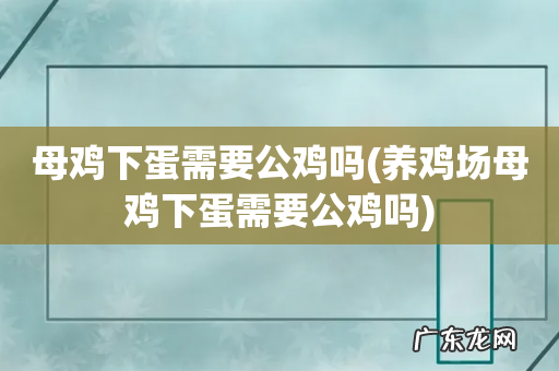 养鸡场母鸡下蛋需要公鸡吗 母鸡下蛋需要公鸡吗