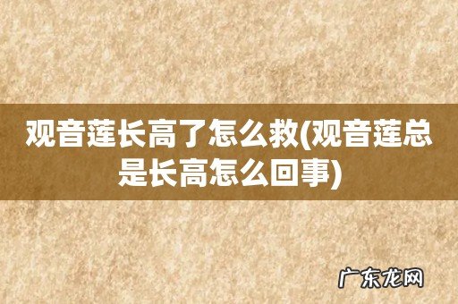 观音莲总是长高怎么回事 观音莲长高了怎么救