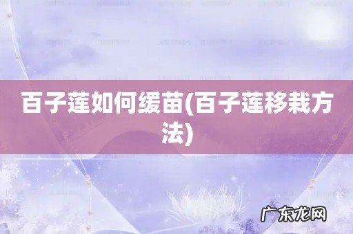 百子莲移栽方法 百子莲如何缓苗