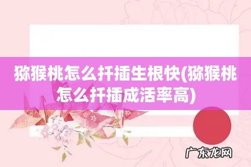 猕猴桃怎么扦插成活率高 猕猴桃怎么扦插生根快