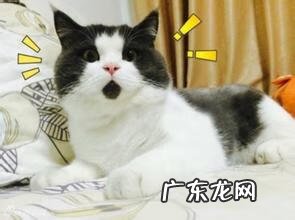 肾阴虚能自愈吗 飞机打多了是肾阴虚怎么办